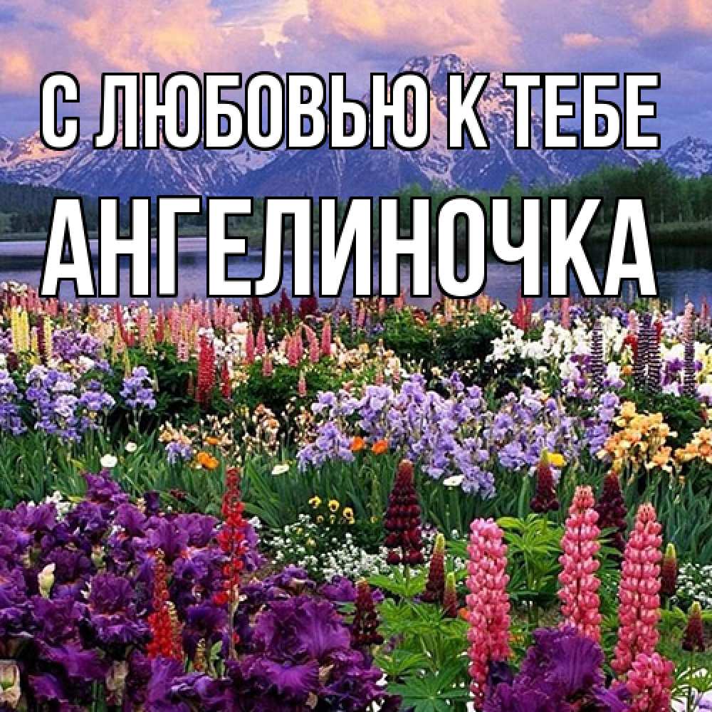 Открытка  с именем. АНГЕЛИНОЧКА, С любовью к тебе  