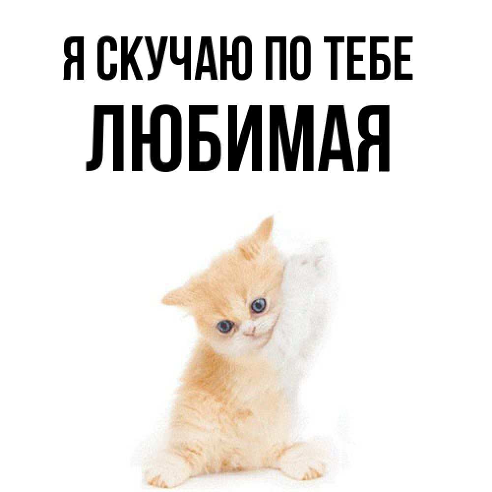 Открытка  с именем. Любимая, Я скучаю по тебе  