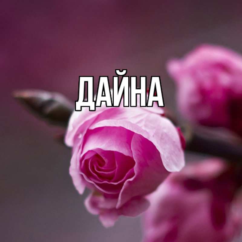 Картинка  с именем , Дайна
