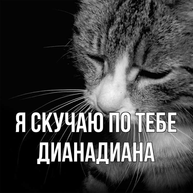 Картинка Я скучаю по тебе, ДианаДиана