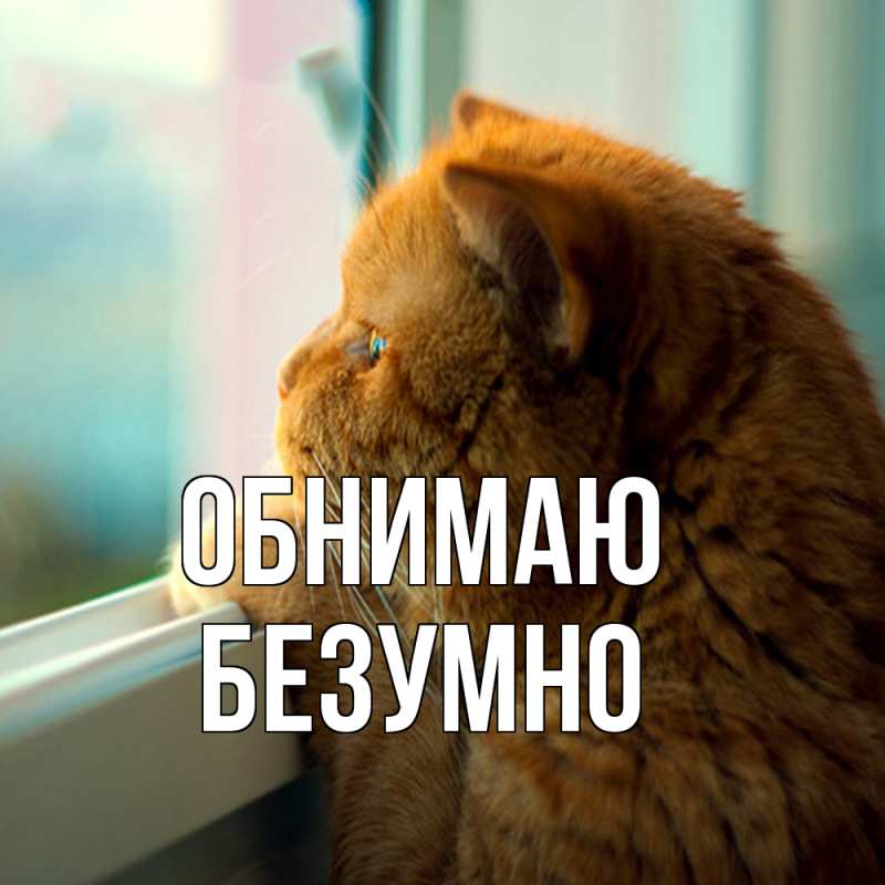 Картинка Обнимаю, безумно