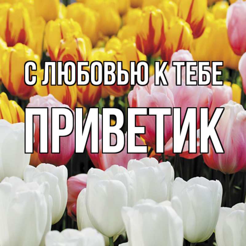 Картинка С любовью к тебе, приветик