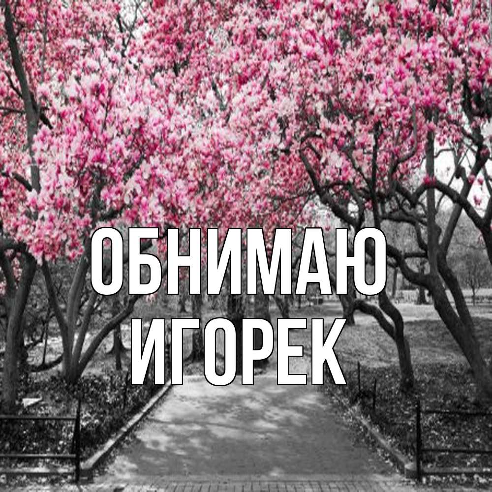 Открытка  с именем. Игорек, Обнимаю  