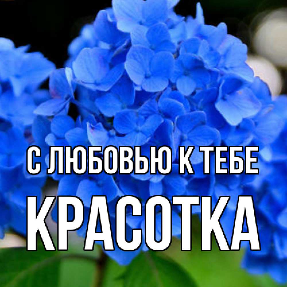 Открытка  с именем. Красотка, С любовью к тебе  