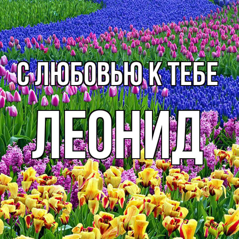 Открытка  с именем. Леонид, С любовью к тебе  