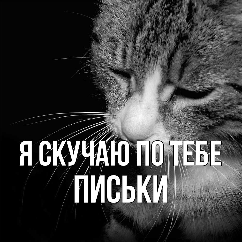 Открытка  с именем. Письки, Я скучаю по тебе  