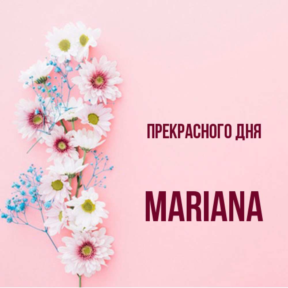 Открытка  с именем. mariana, Прекрасного дня  