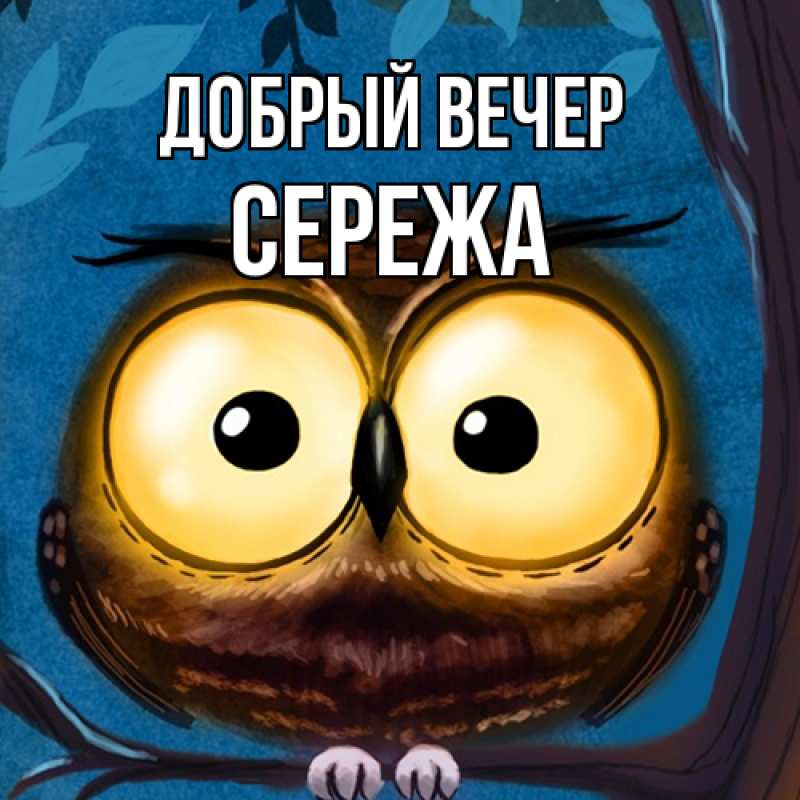 Картинка Добрый вечер, СЕРЕЖа