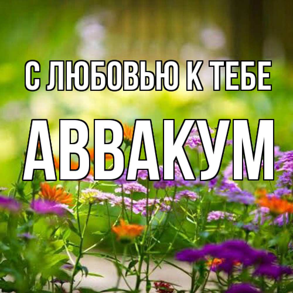 Открытка  с именем. Аввакум, С любовью к тебе  