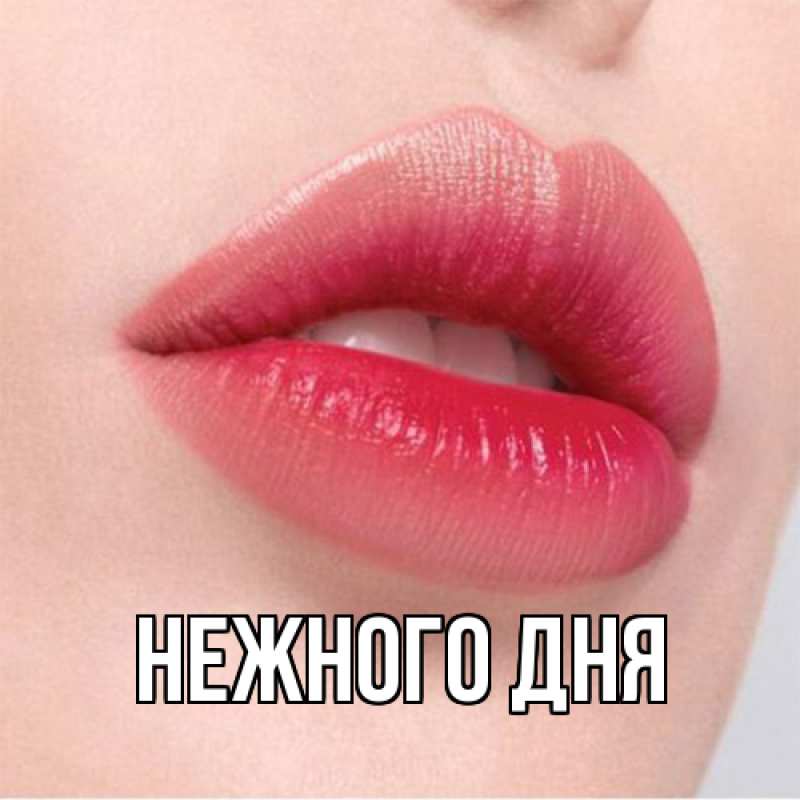 Картинка Нежного дня, 