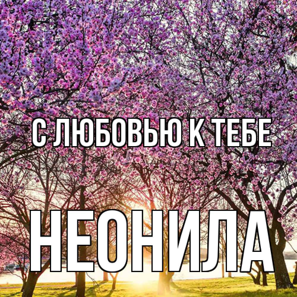 Открытка  с именем. Неонила, С любовью к тебе  