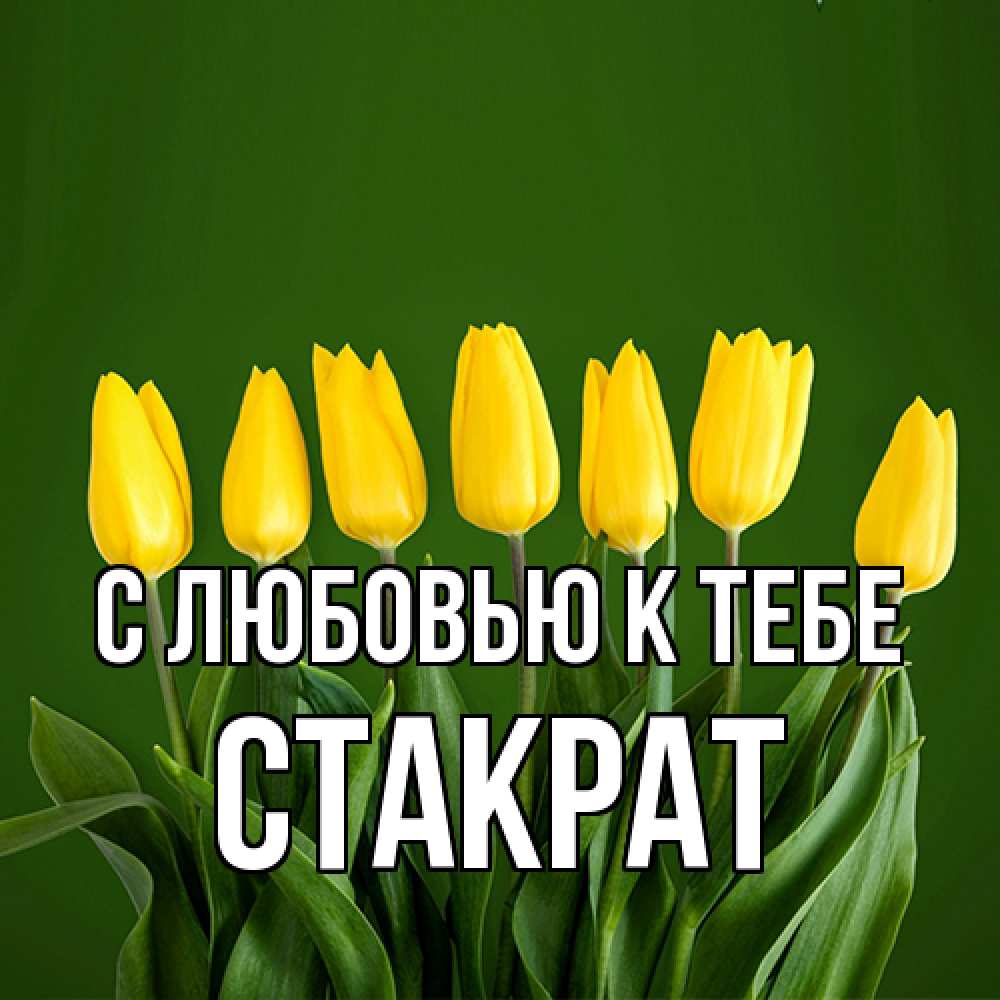 Открытка  с именем. Стакрат, С любовью к тебе  