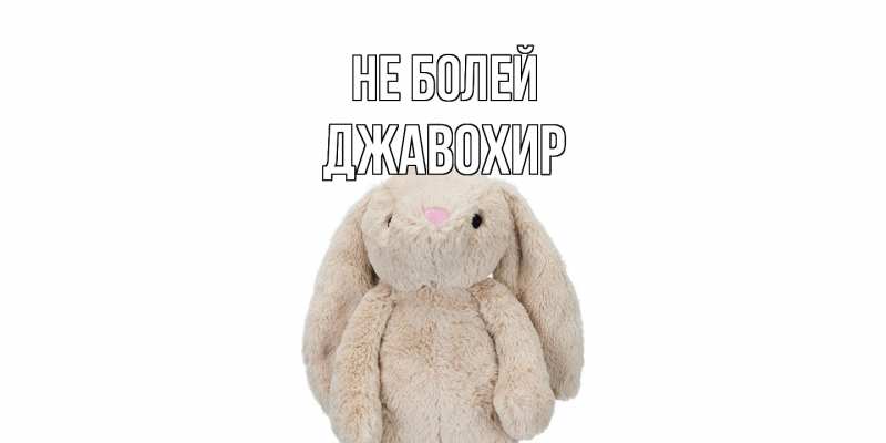 Картинка Не болей, Джавохир