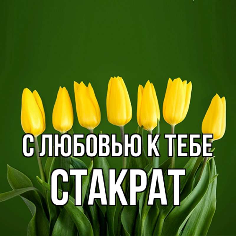 Картинка С любовью к тебе, Стакрат