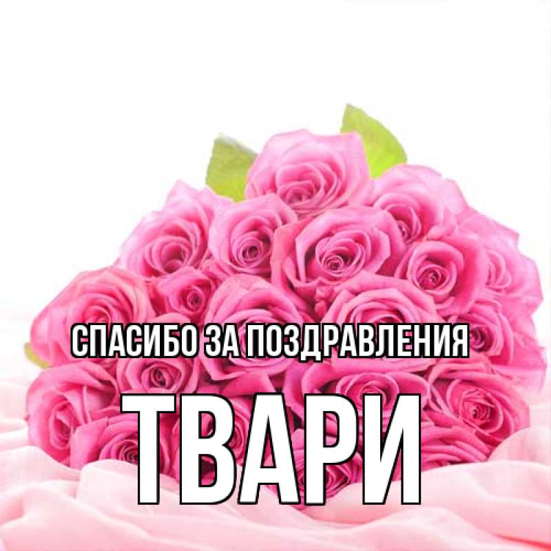 Картинка Спасибо за поздравления, твари