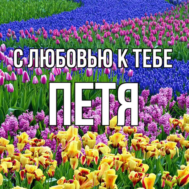 Картинка С любовью к тебе, петя