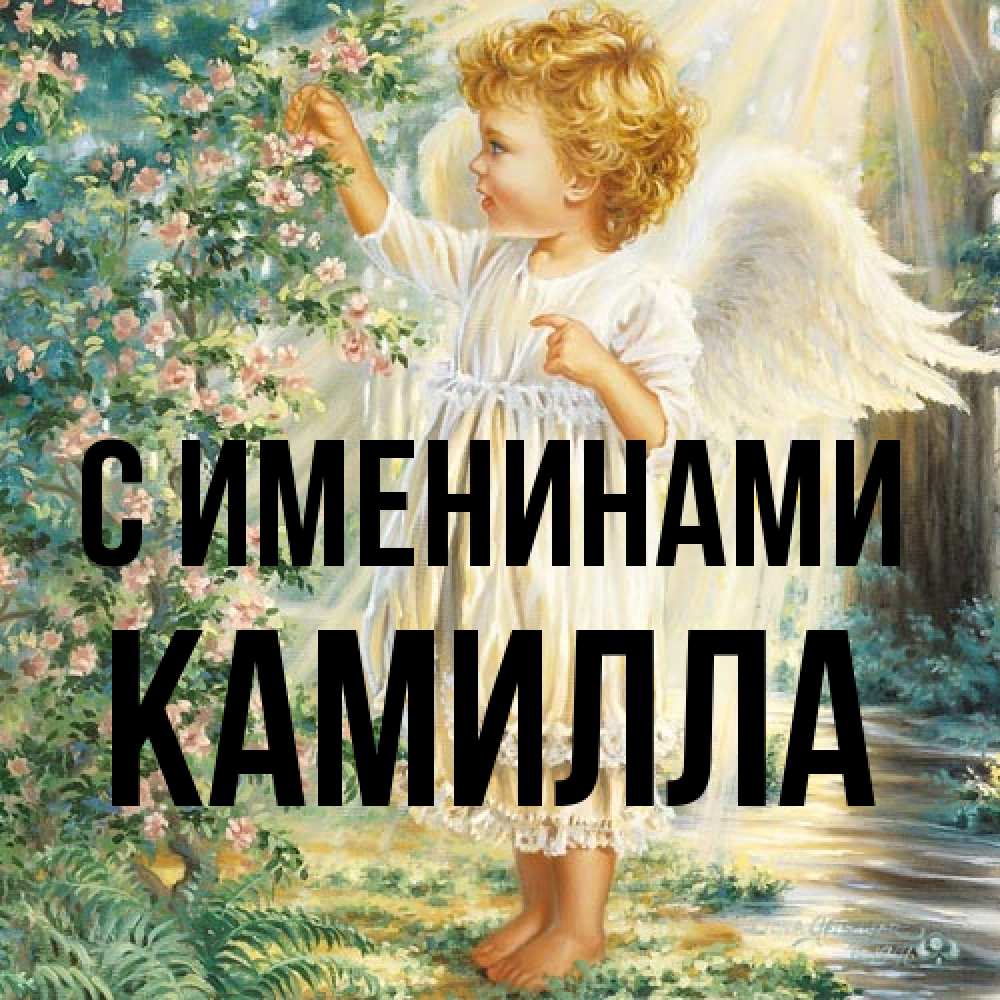 Открытка  с именем. Камилла, С именинами  
