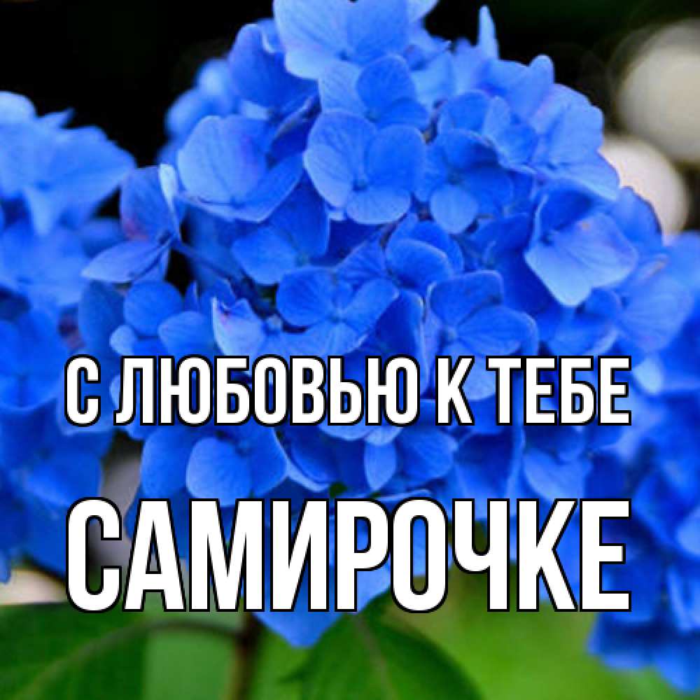 Открытка  с именем. самирочке, С любовью к тебе  