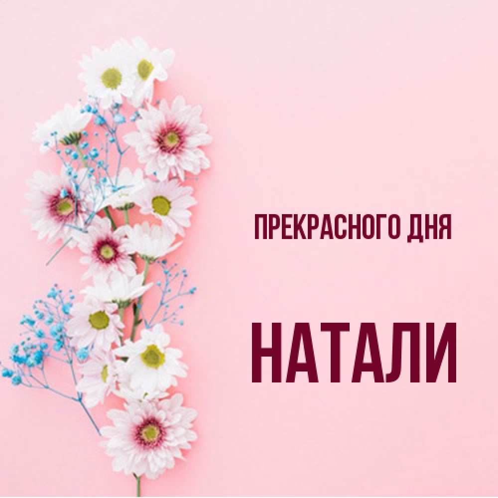 Открытка  с именем. Натали, Прекрасного дня  