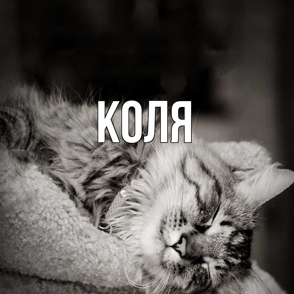 Открытка  с именем. коля, Главная  