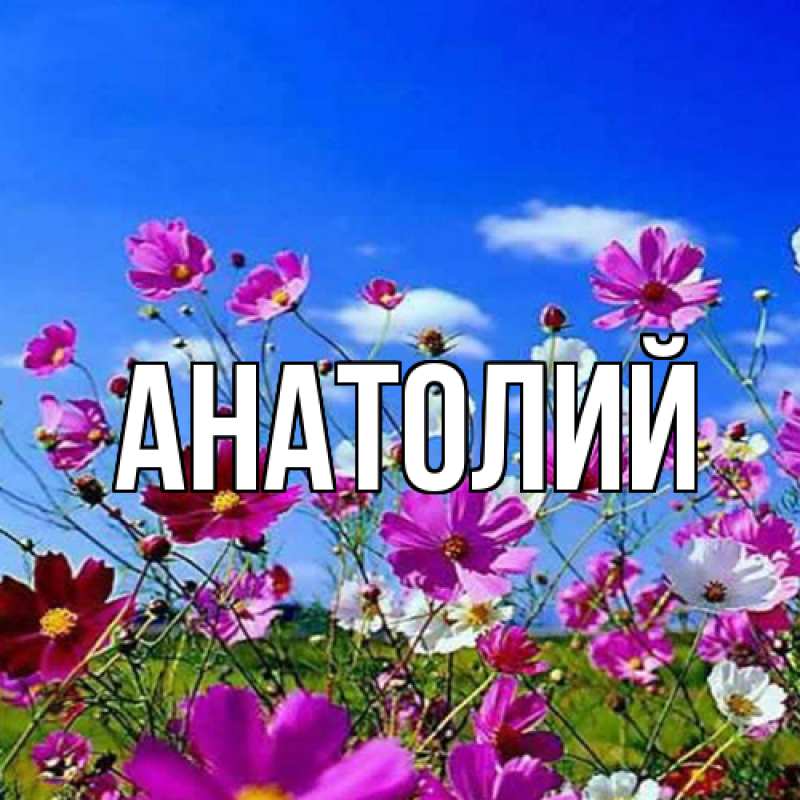Картинка  с именем , Анатолий