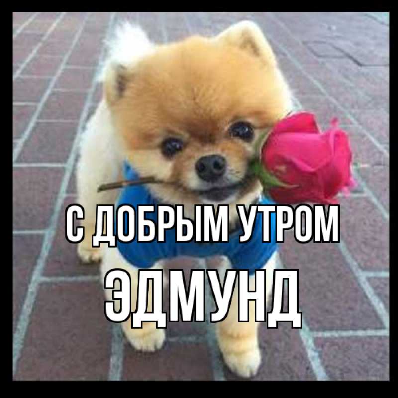 Картинка С добрым утром, Эдмунд