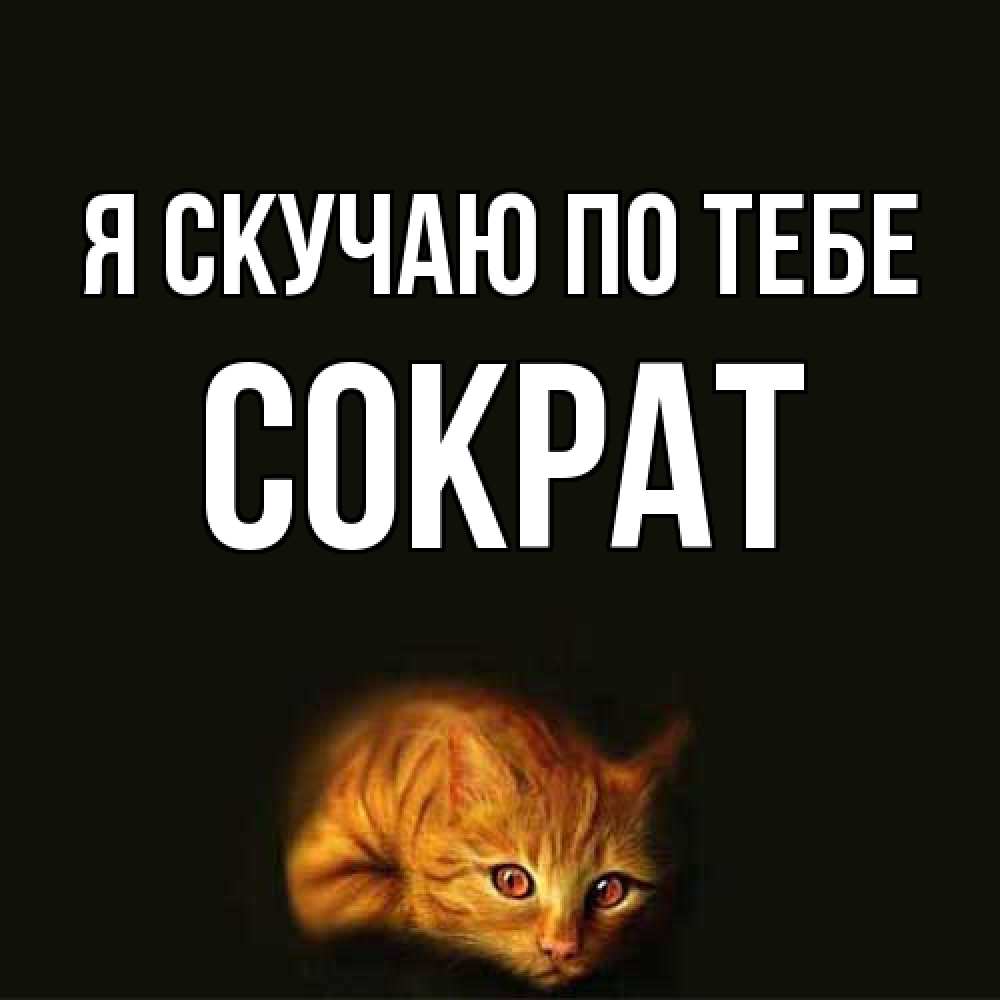 Открытка  с именем. Сократ, Я скучаю по тебе  