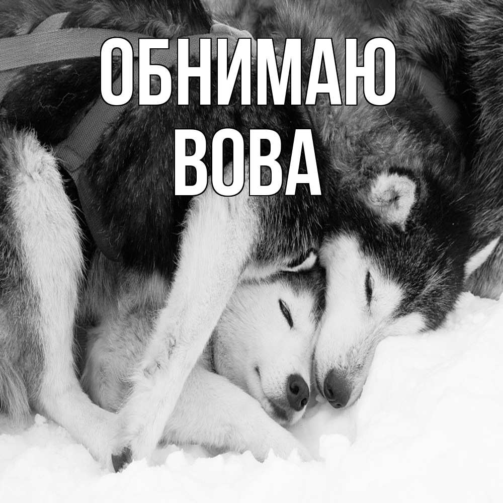 Открытка  с именем. Вова, Обнимаю  