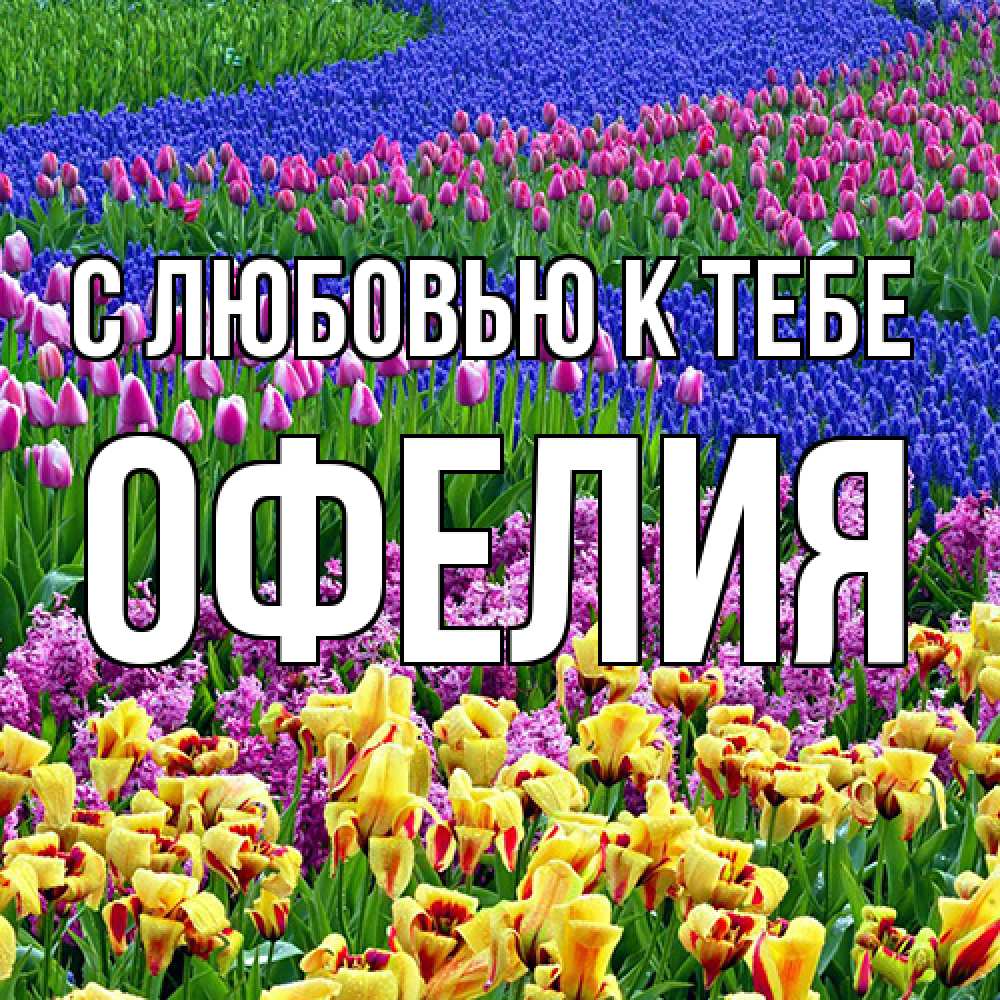 Открытка  с именем. Офелия, С любовью к тебе  