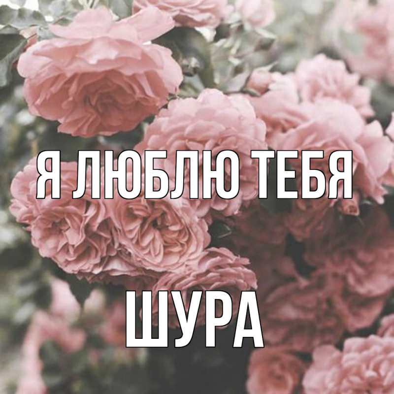 Открытка с именем, Шура, Я люблю тебя