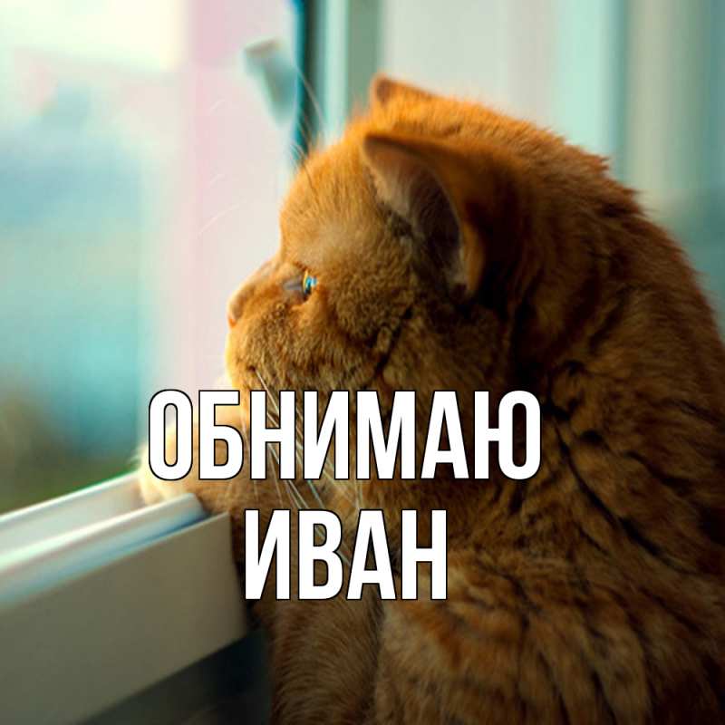 Картинка Обнимаю, иван