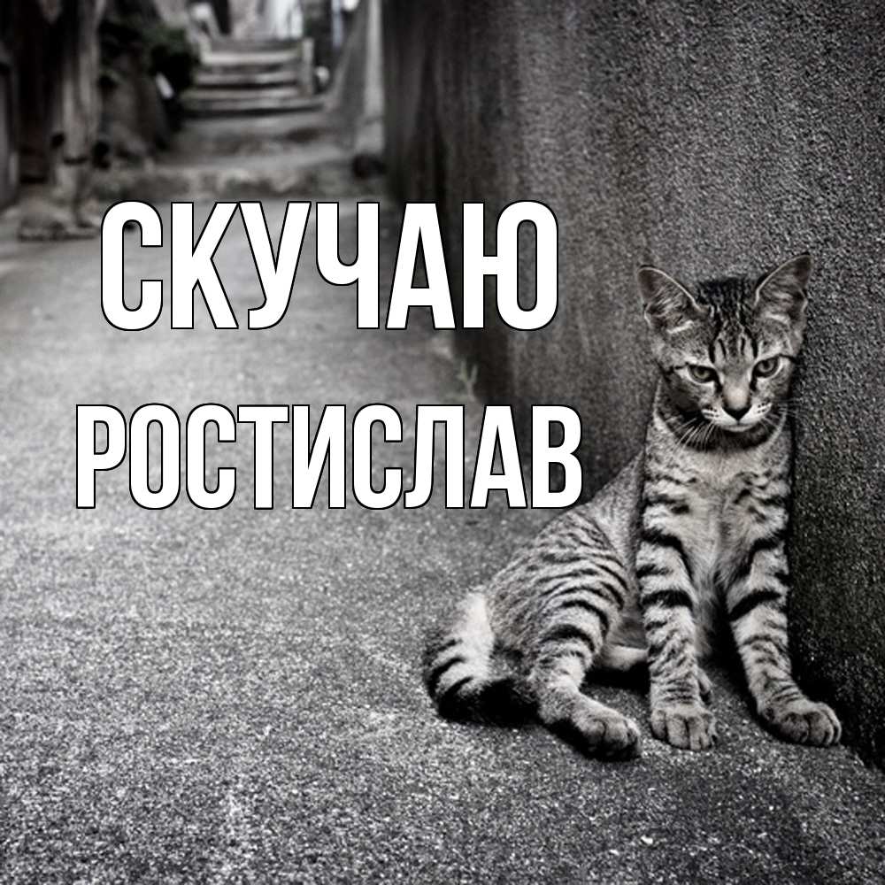 Открытка  с именем. Ростислав, Скучаю  