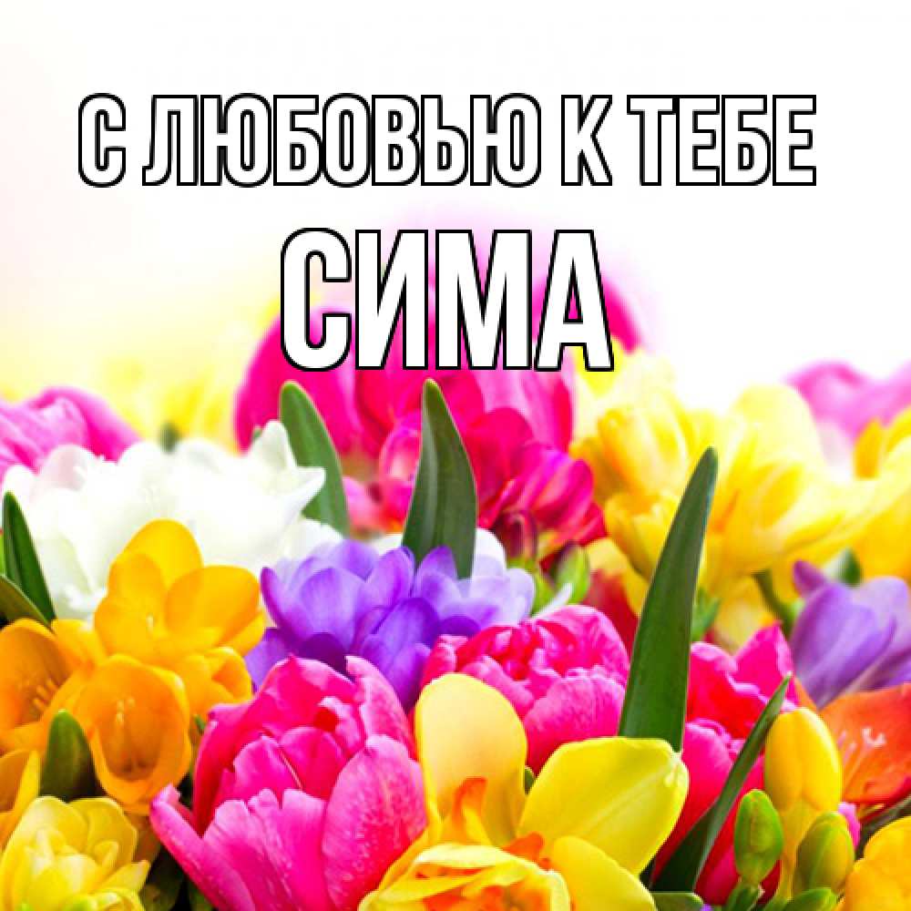Открытка  с именем. Сима, С любовью к тебе  