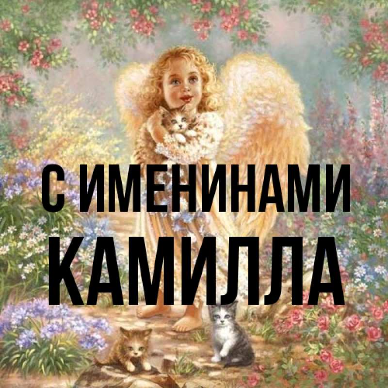 Картинка С именинами, Камилла
