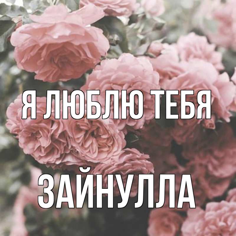 Картинка Я люблю тебя, Зайнулла