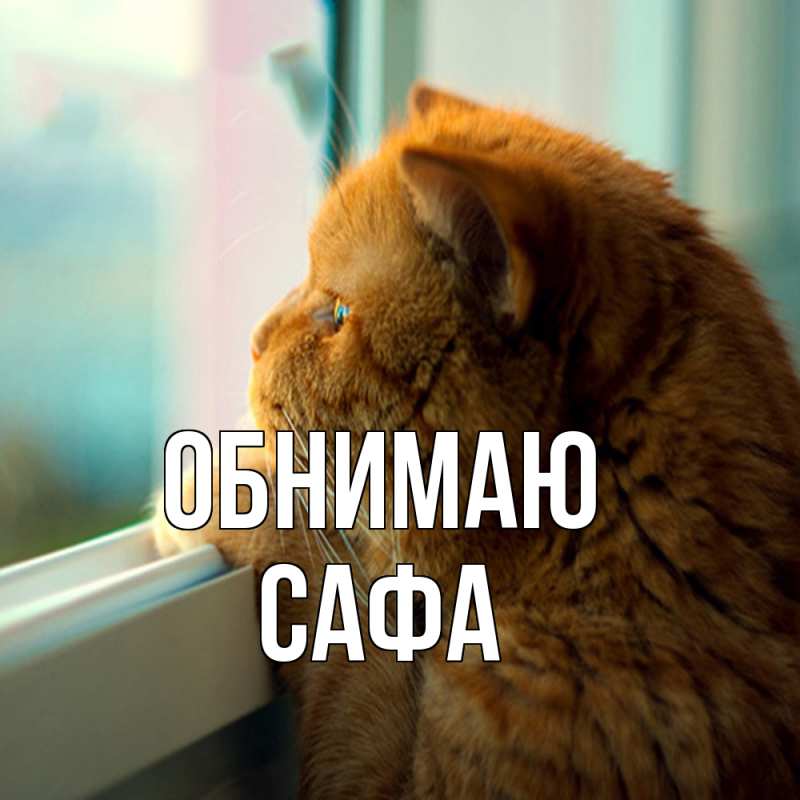 Картинка Обнимаю, Сафа