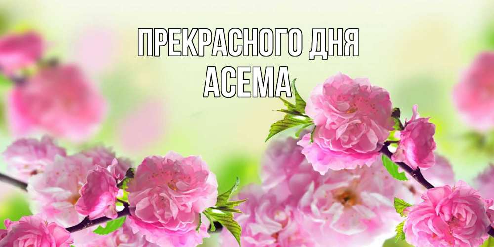 Открытка  с именем. Асема, Прекрасного дня  