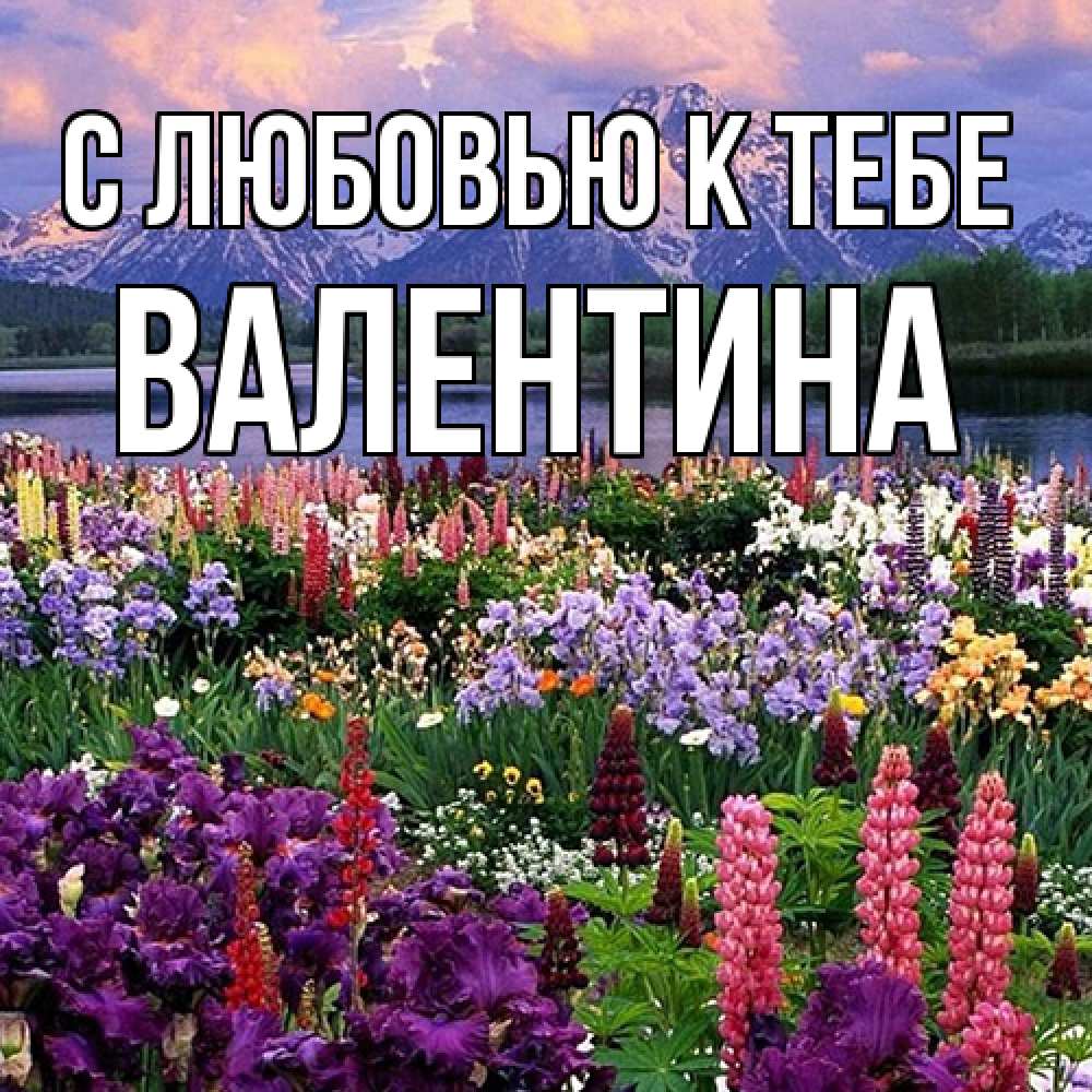 Открытка  с именем. валентина, С любовью к тебе  