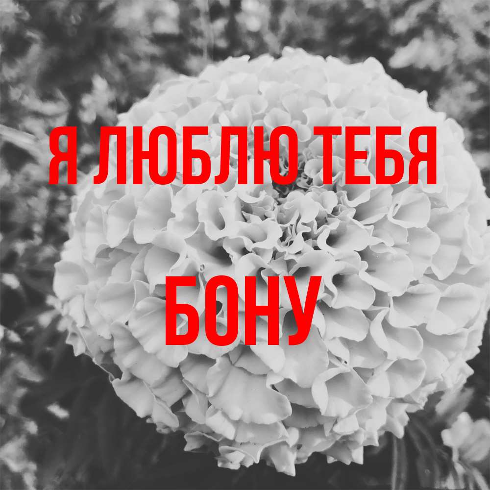 Открытка  с именем. Бону, Я люблю тебя  