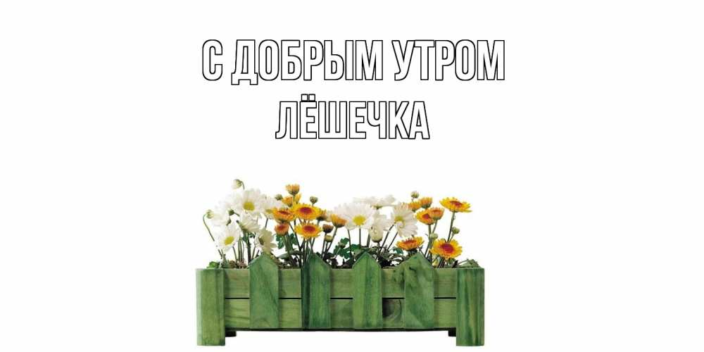 Открытка  с именем. Лёшечка, С добрым утром  