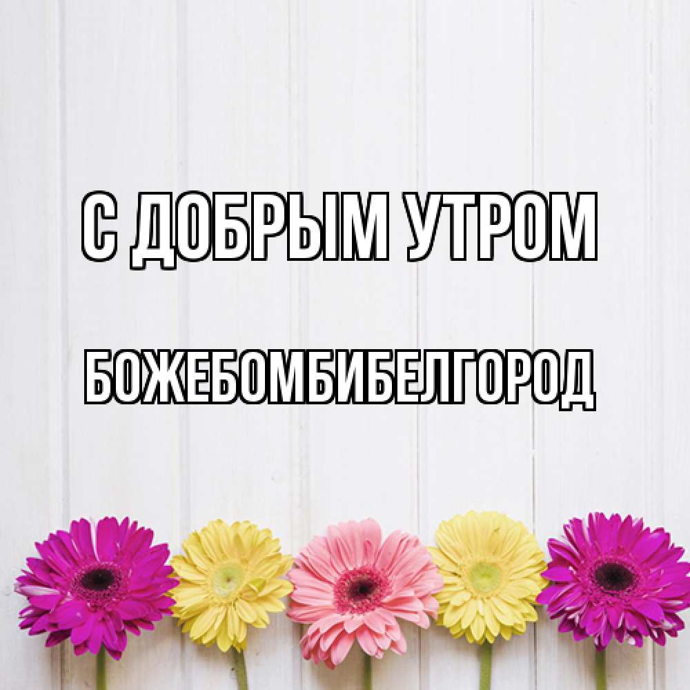 Открытка  с именем. божебомбибелгород, С добрым утром  