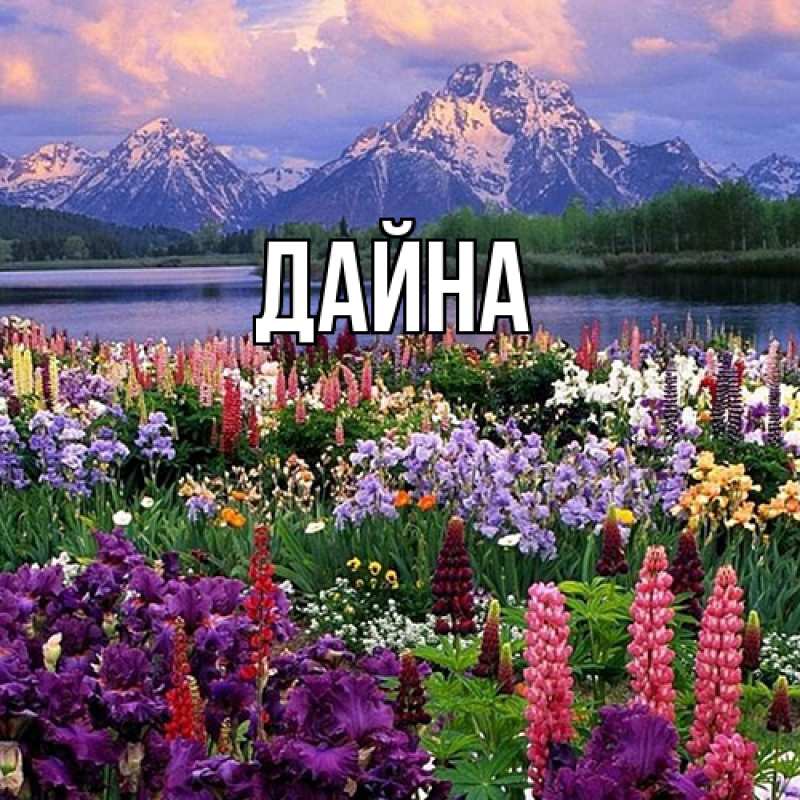 Картинка  с именем , Дайна