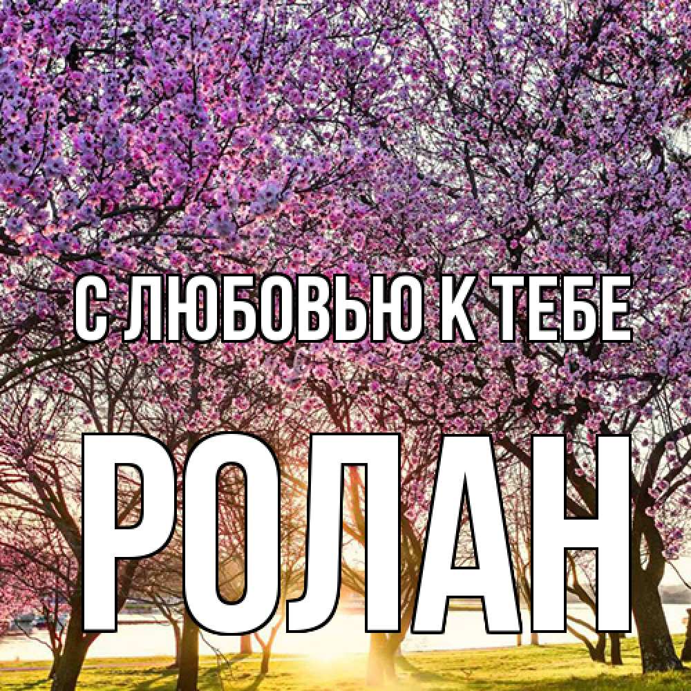 Открытка  с именем. Ролан, С любовью к тебе  