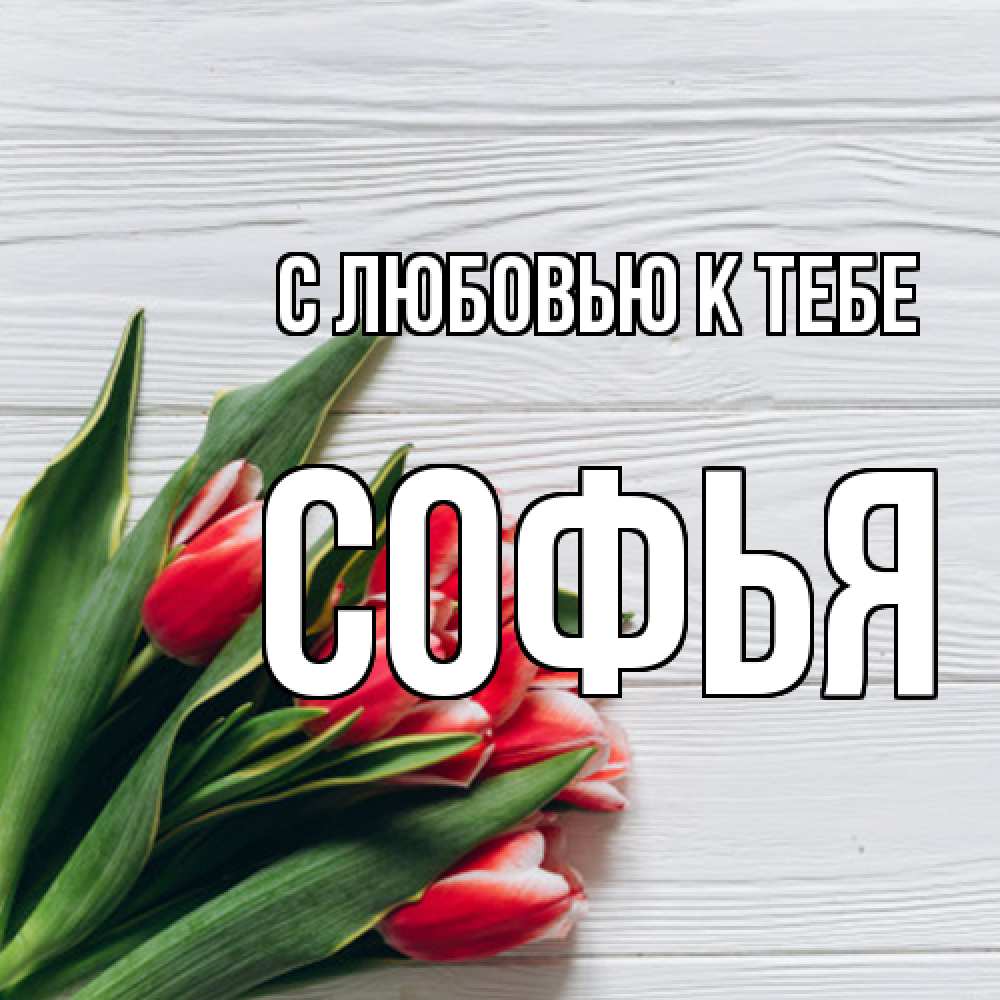 Открытка  с именем. Софья, С любовью к тебе  