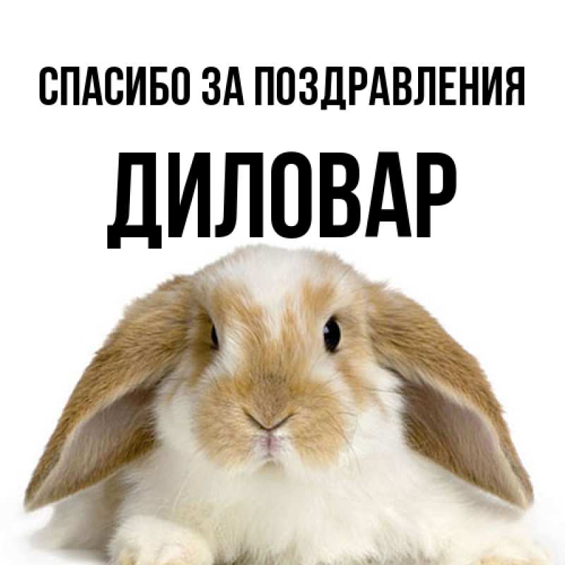 Картинка Спасибо за поздравления, Диловар