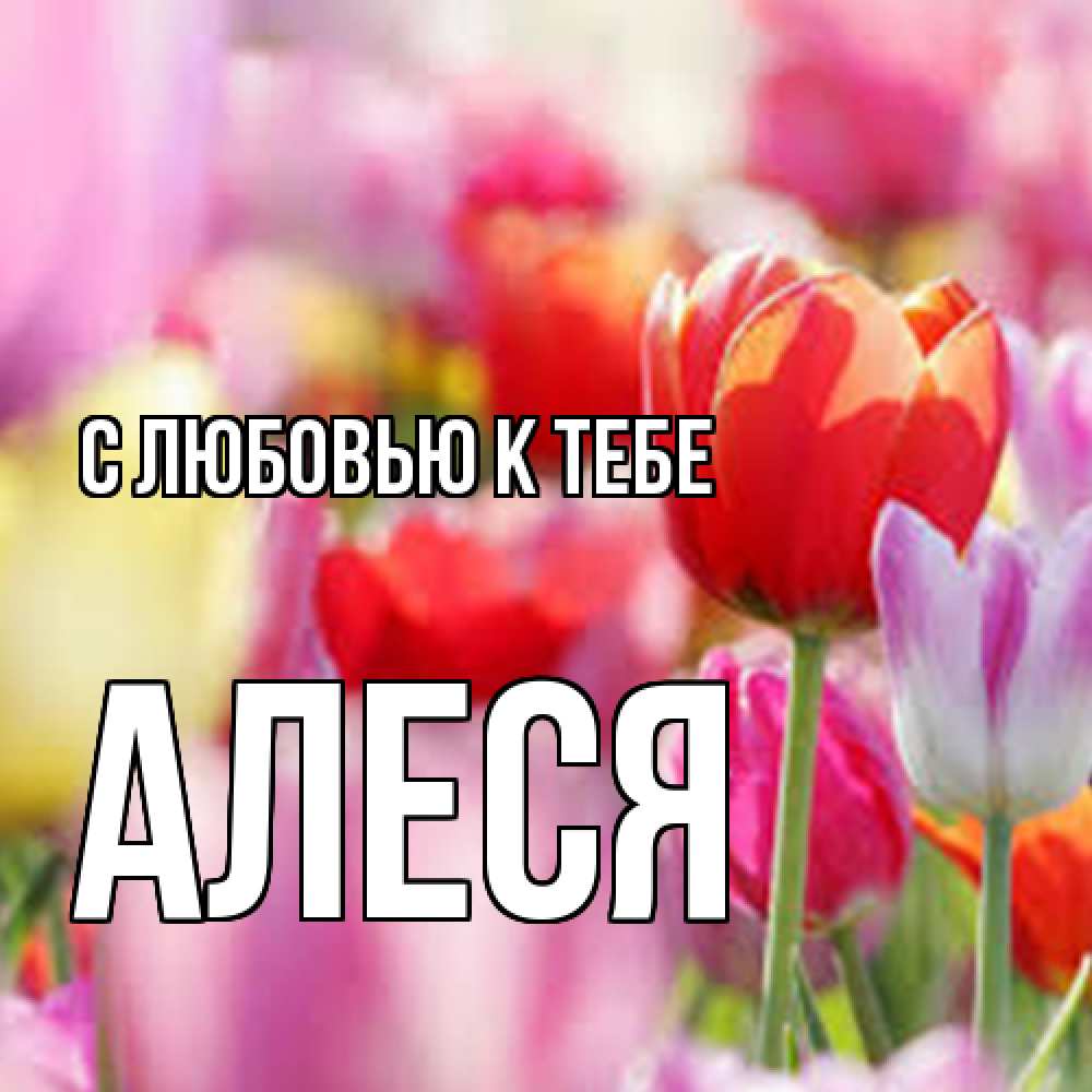 Открытка  с именем. Алеся, С любовью к тебе  