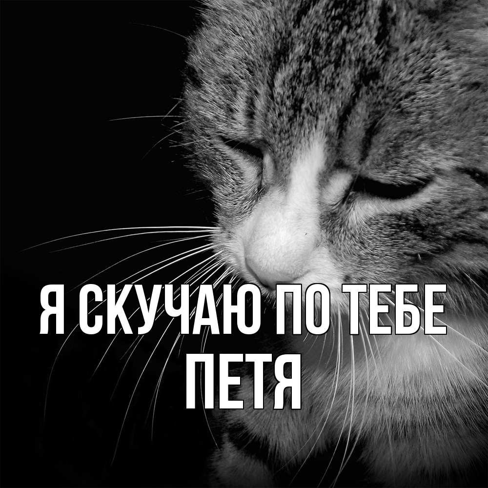 Открытка  с именем. Петя, Я скучаю по тебе  