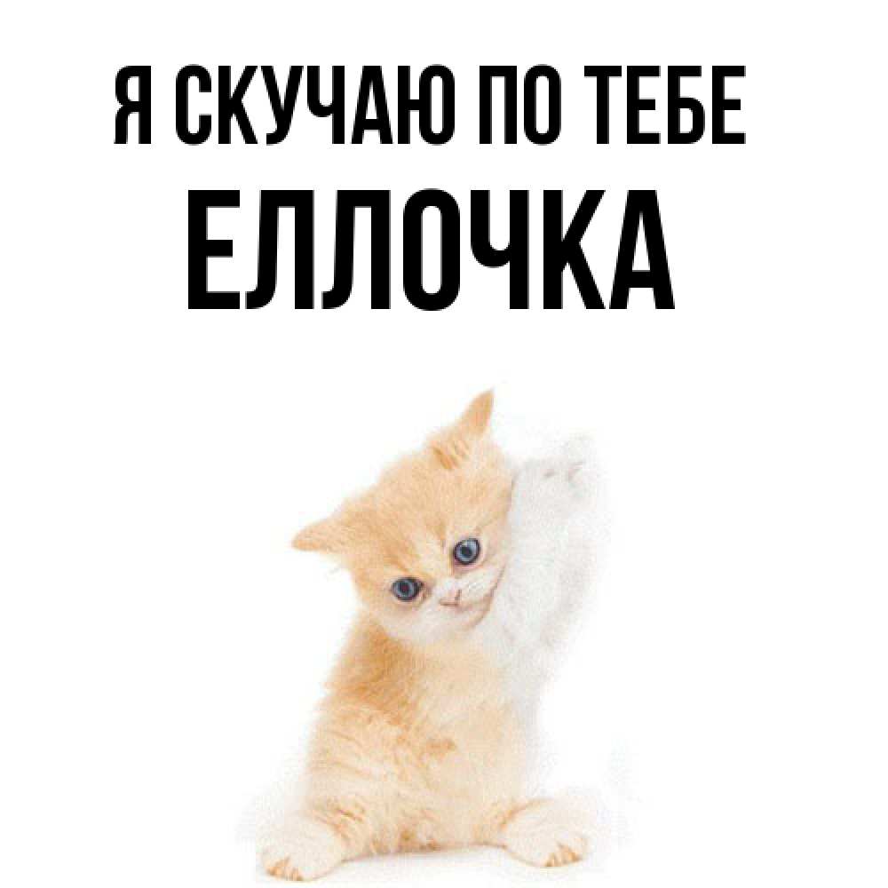 Открытка  с именем. Еллочка, Я скучаю по тебе  