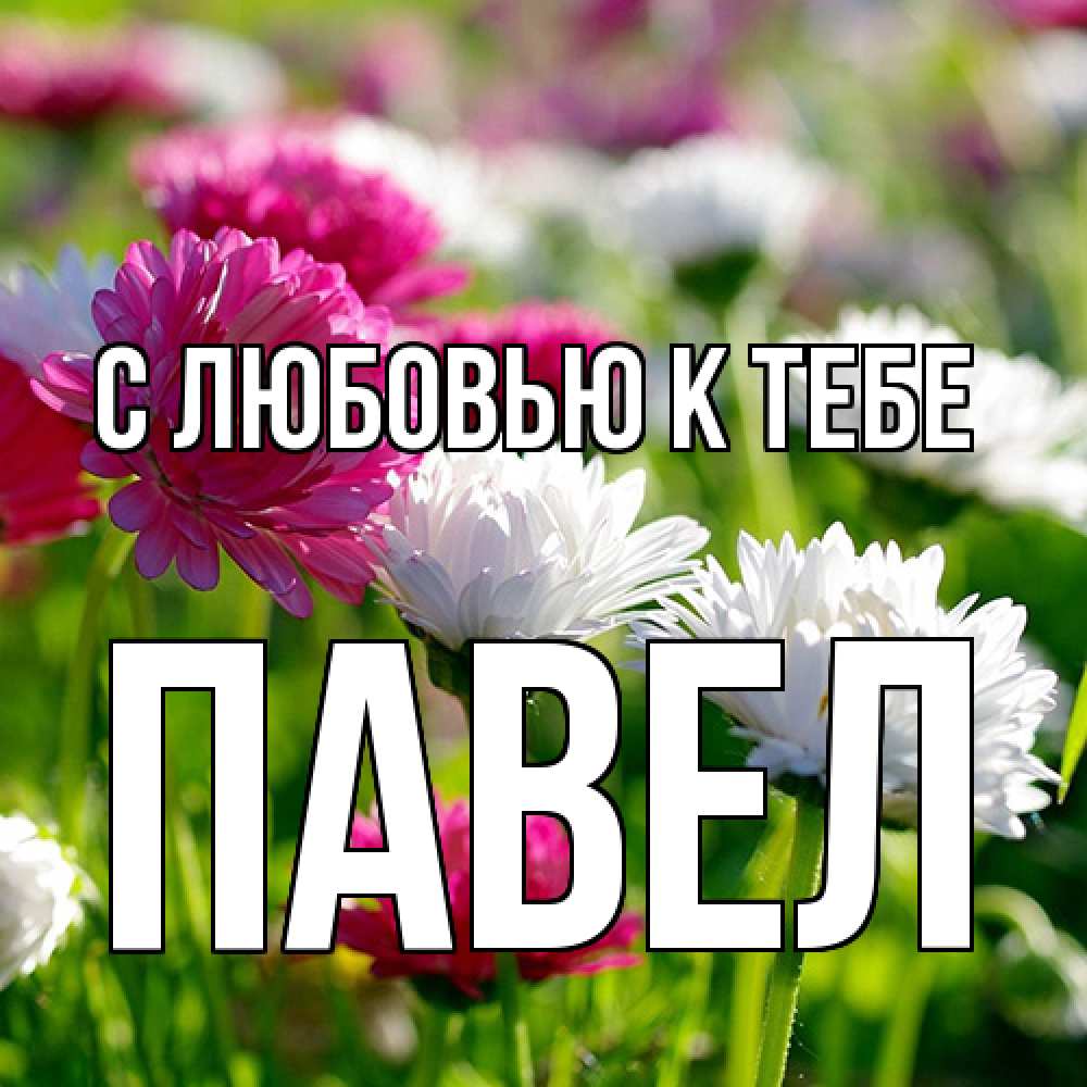 Открытка  с именем. Павел, С любовью к тебе  