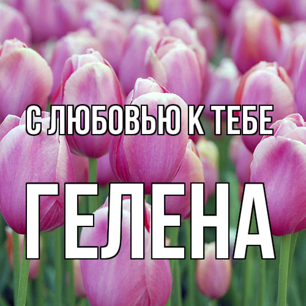 Открытка  с именем. Гелена, С любовью к тебе  